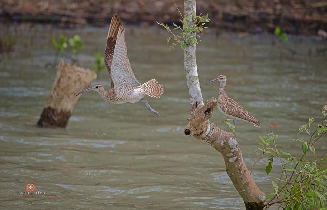 images/WhatsApp Image 2025-12-02 at 7.39.54 PM.jpeg